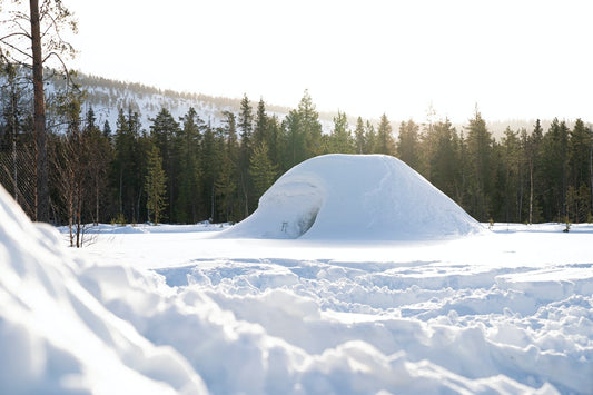 Emergency Winter Survival Shelters