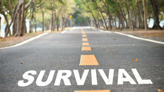 Thinking Critically About Survival Advice